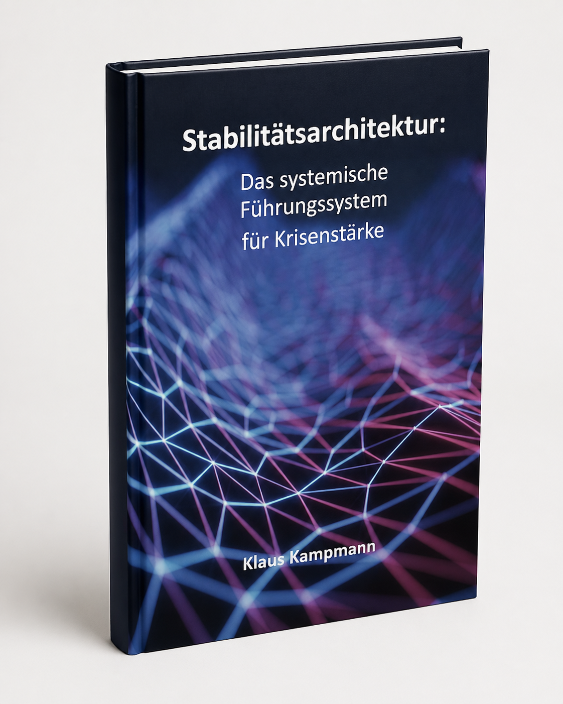 Stabilitätsarchitektur – Das systemische Führungssystem für Krisenstärke
